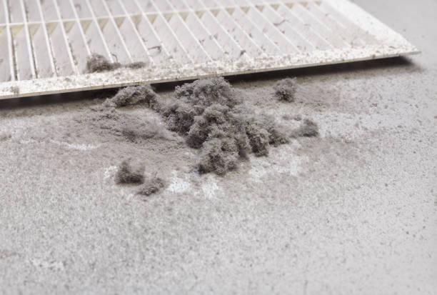Best Local Air Duct Cleaning Services  in Dayton, TN